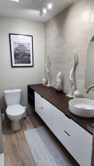 Appartement La Taniere Lens Est Sallaumines